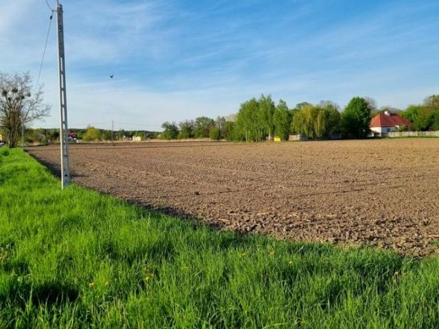 Grunt na sprzedaż w Michałów, Leszno