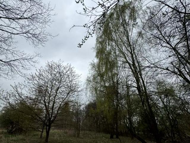 Grunt na sprzedaż w Oświęcim, Małopolskie