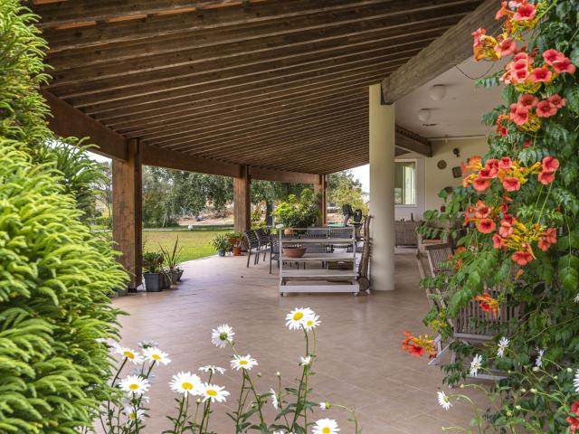 Vivenda venda em Santarém