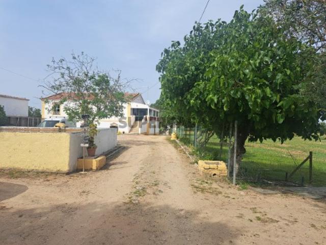 Casa venda em Beja