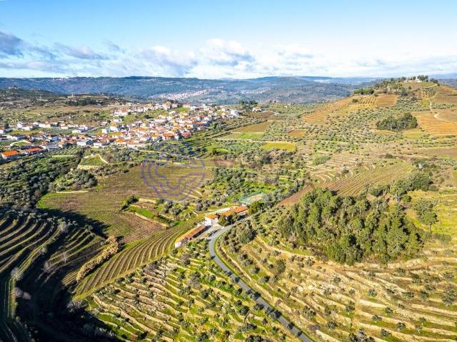 Quinta venda em Alijó, Vila Real