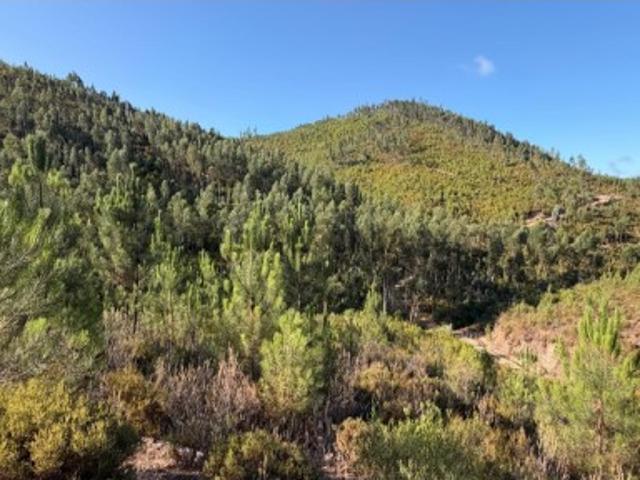 Terreno venda em Castelo Branco, Vila De Rei