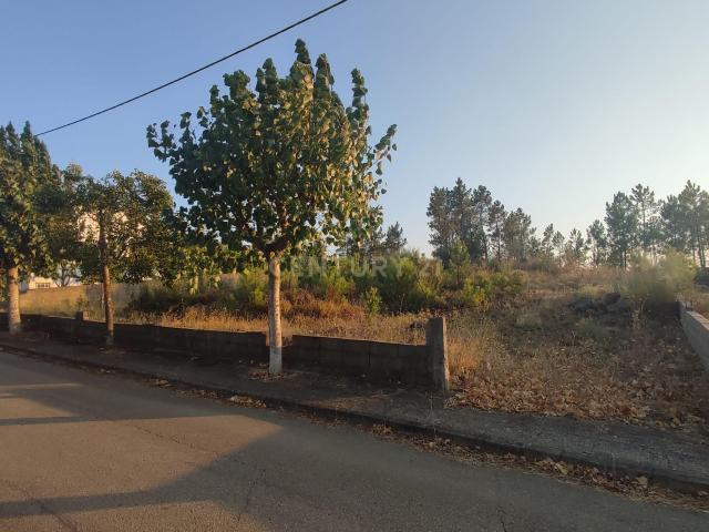 Terreno venda em Castelo Branco