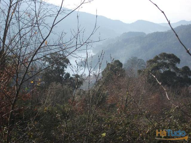 Terreno venda em Parada Do Bouro, Braga