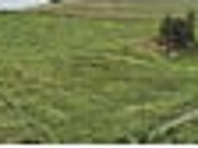 Land for sale in Te Ranga, Bay Of Plenty