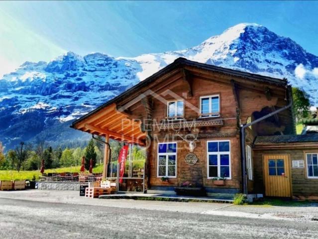 Immobilie kaufen in Grindelwald, Bern