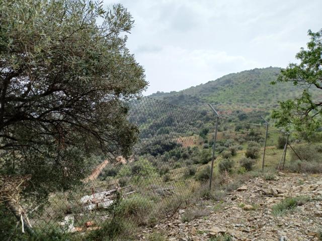 Terreno en alquiler en Málaga, Pinares de San Antón