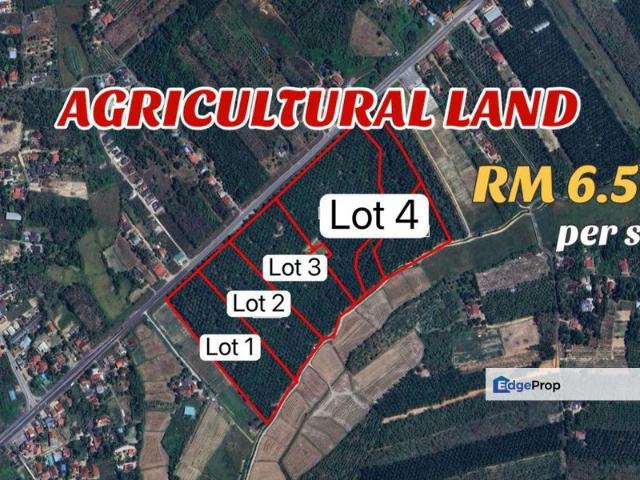 Shop for sale in Pokok Sena, Kedah