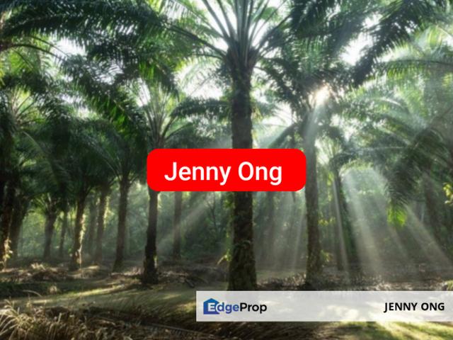 Shop for sale in Kupang, Kedah