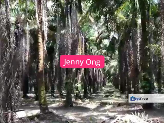 Shop for sale in Pokok Sena, Kedah