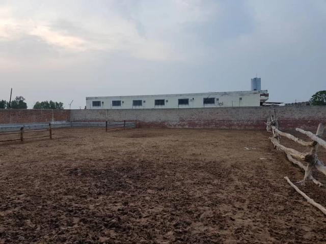 Commercial for sale in Faisalabad, Islamabad Capital Territory