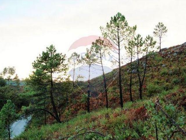 Terreno venda em Fafe, Braga