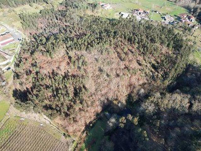 Terreno venda em Fafe, Braga