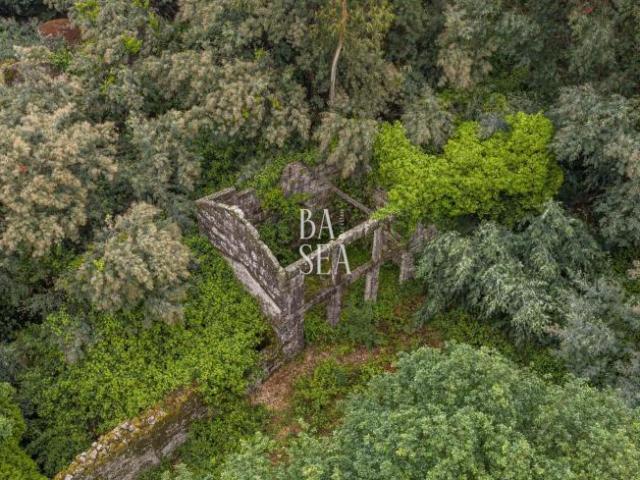 Terreno venda em Fafe, Braga