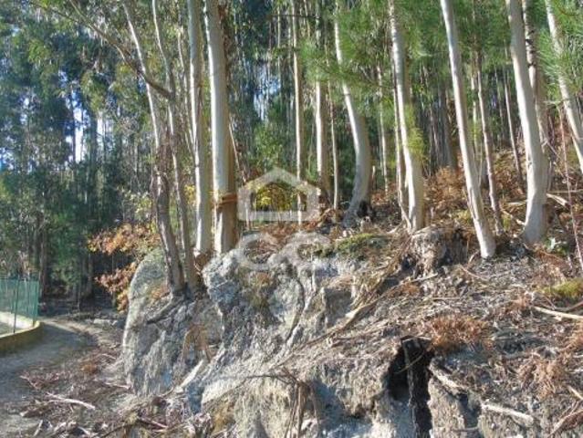 Terreno venda em Fafe, Braga