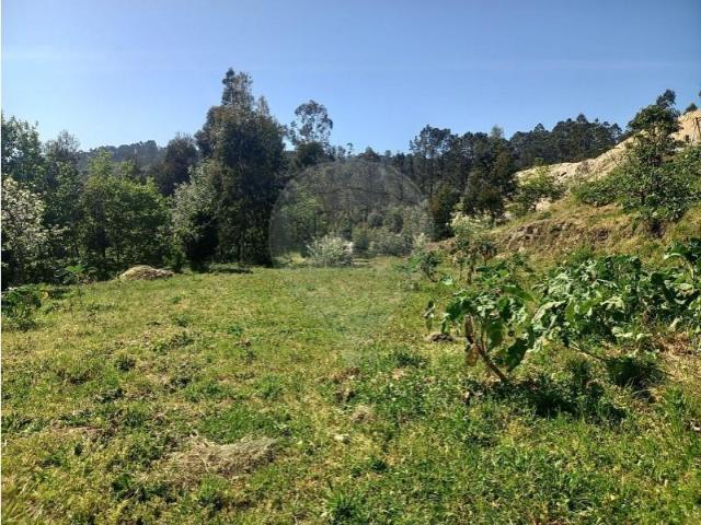 Terreno venda em Arões (São Romão), Fafe