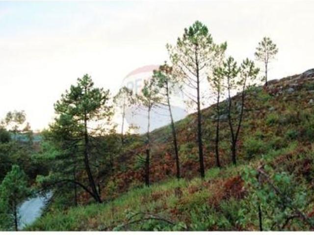 Terreno venda em Fafe, Braga