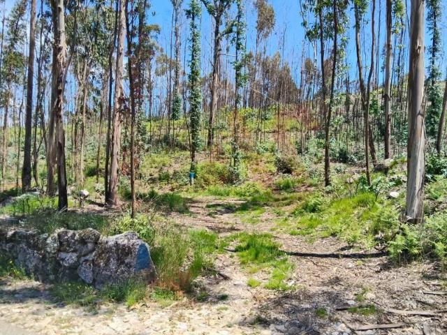 Terreno venda em Fafe, Braga