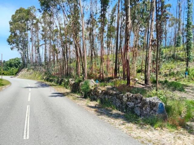 Terreno venda em Fafe, Braga