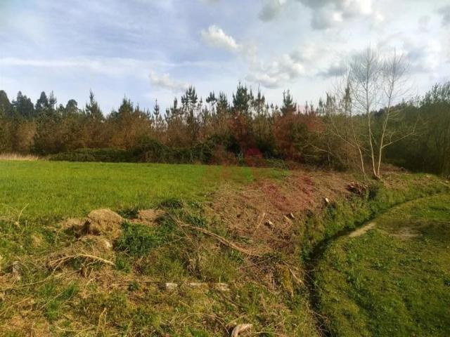 Terreno venda em Fafe, Braga