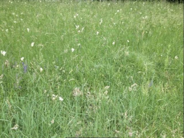 Terreno in vendita a Fagagna, Friuli-Venezia Giulia