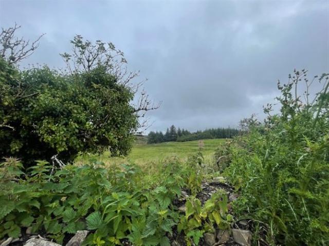 Property for sale in Doolin, South Tipperary