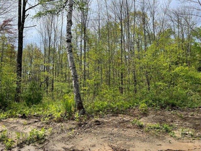 Land for sale in Rockport, Maine