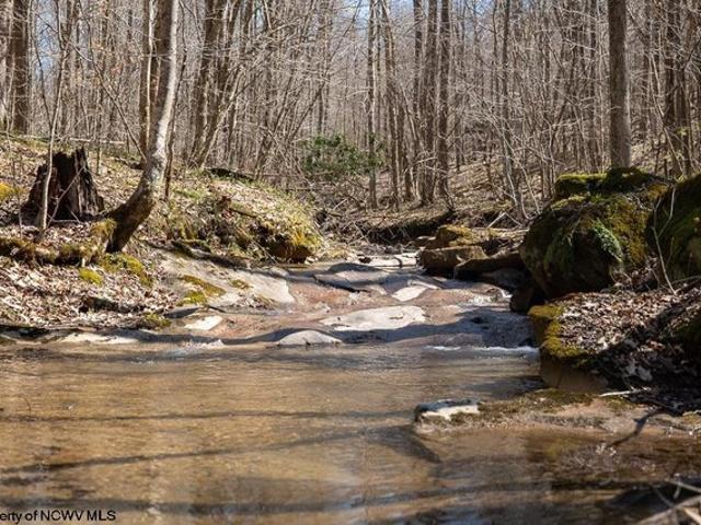 Farm for sale in Kingwood, West Virginia