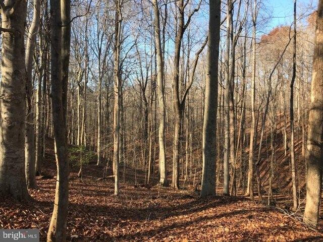 Land for sale in Fairfax Station