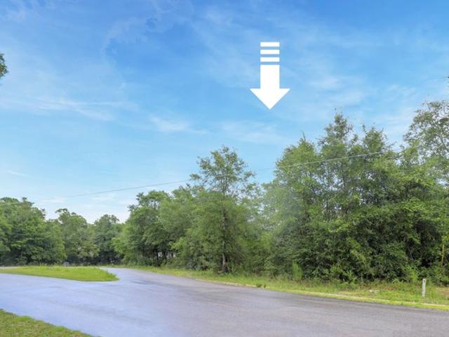 Land for sale in Walton, Florida