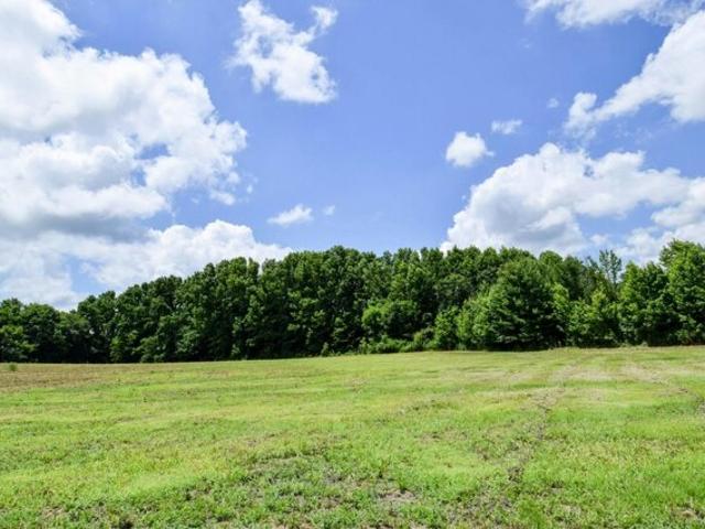 Land for sale in Westmoreland