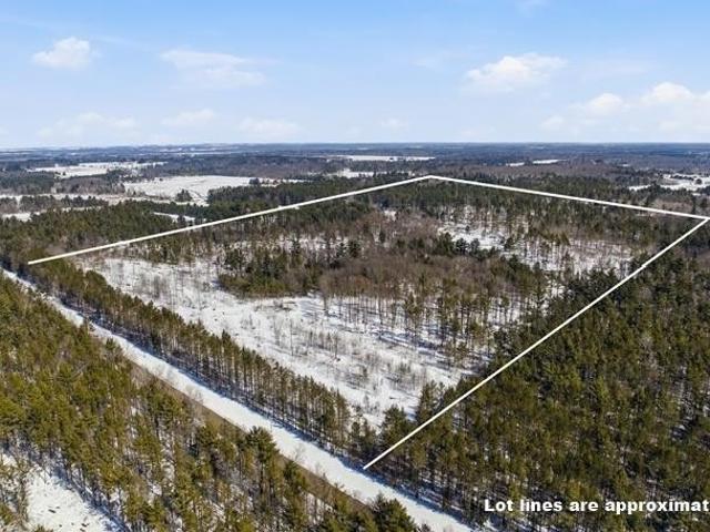 Land for sale in Neillsville, Wisconsin