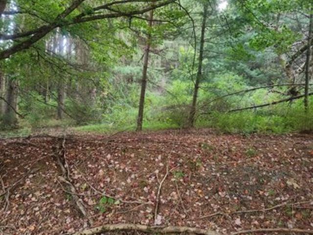 Land for sale in Muncy Valley, Davidson Township