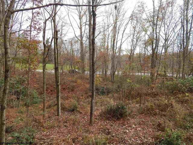 Land for sale in Fairmont, West Virginia