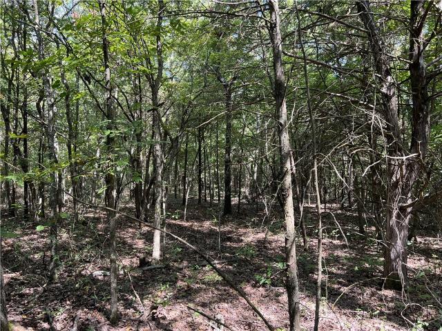 Land for sale in Harrison, Boone County