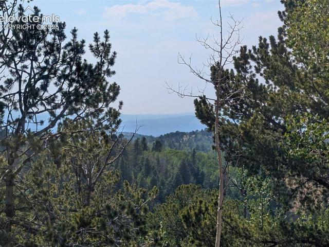 Land for sale in Teller, Colorado