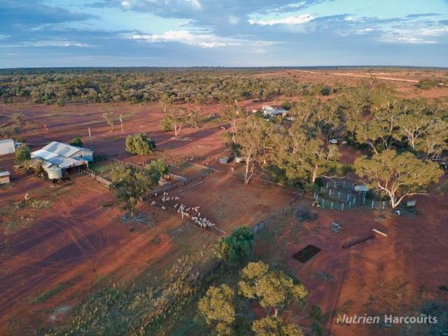 Acreage for sale in Cobar, New South Wales