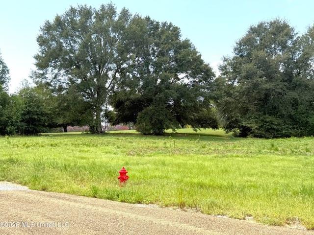 Land for sale in Mccomb, Mississippi