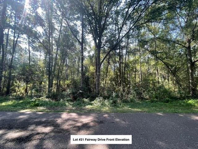 Land for sale in Abita Springs, Louisiana