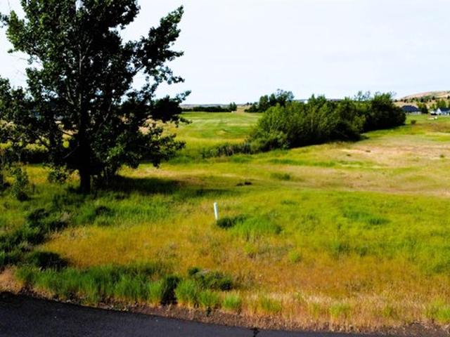 Land for sale in Council, Idaho