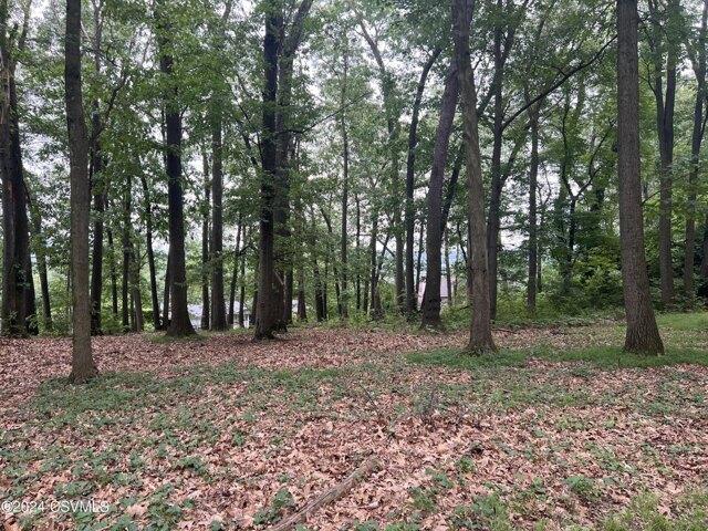 Land for sale in Selinsgrove
