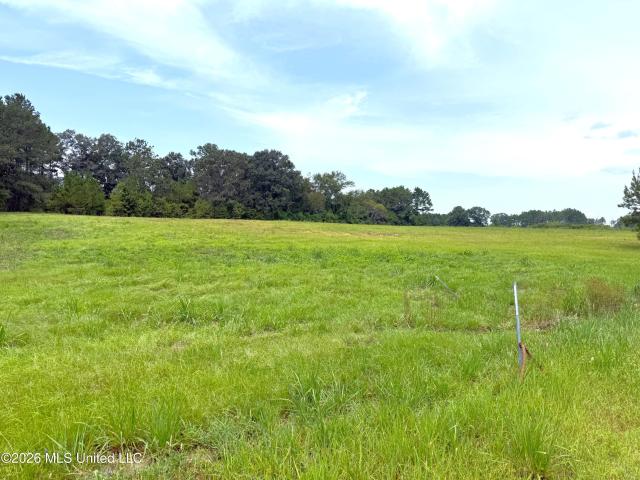 Land for sale in Mississippi