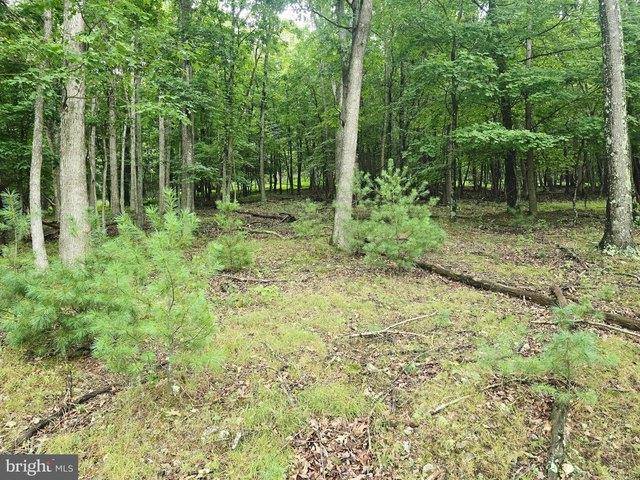 Land for sale in Franklin, West Virginia