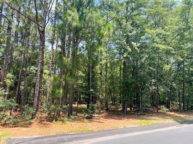 Land for sale in Barnwell