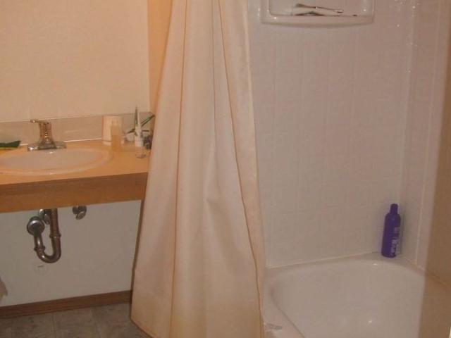 Apartment for rent in Bellingham, Washington