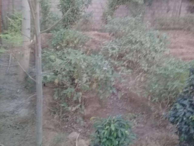 Land for sale in North Waziristan, Federally Administered Tribal Areas fata