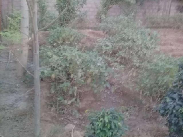 Land for sale in North Waziristan, Federally Administered Tribal Areas fata