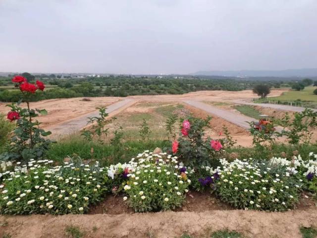 Land for sale in Islamabad