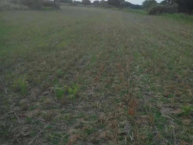Land for sale in Islamabad