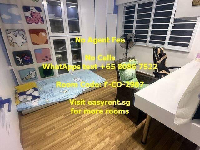 Room for rent